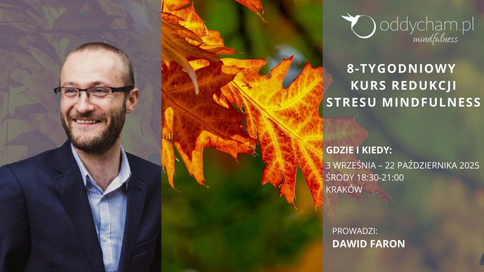 Kurs Kraków